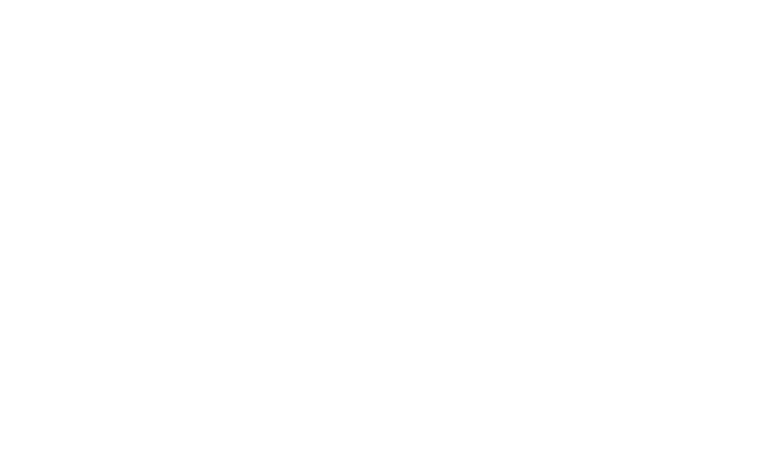 Strategic Social Media Marketer ROI Driven Ads Specialist